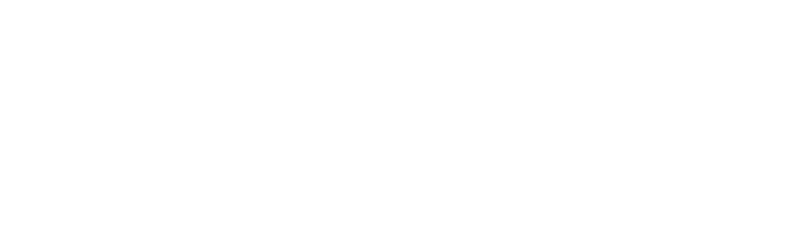 Optigo IT